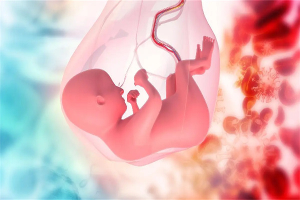 揭秘试管婴儿胚胎染色体异常：背后的原因与应对之道插图